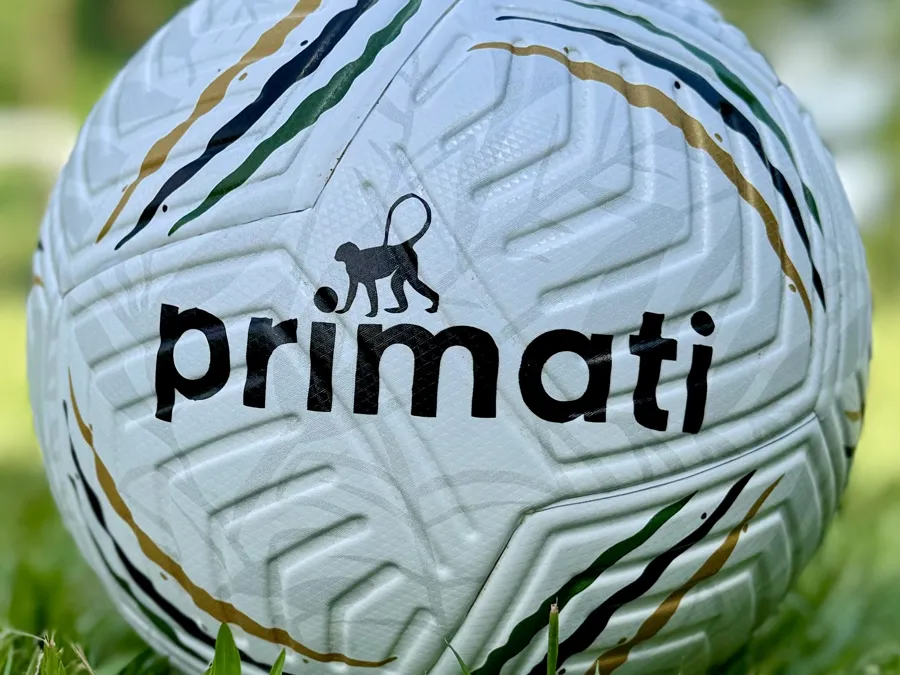 Bola Primati na grama